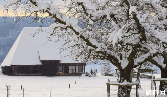 2019年1月份哪个地方会下雪 元旦会下雪吗 2019年1月份哪个地方会下雪 元旦会下雪吗
