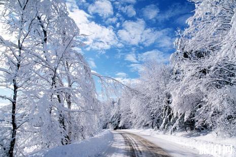 2019年1月份哪个地方会下雪 元旦会下雪吗 2019年1月份哪个地方会下雪 元旦会下雪吗