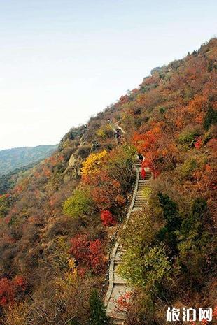 北京看红叶香山公园游玩攻略 北京看红叶香山公园游玩攻略