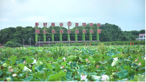 湖南同汇长龙生态欢乐园： 探索三产融合新路径，打造乡村振兴新标杆