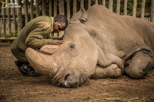 国家地理探索博物馆将于2026年6月26日开放